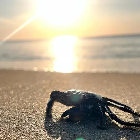 Villaggio Mondial Πάρκο διακοπών