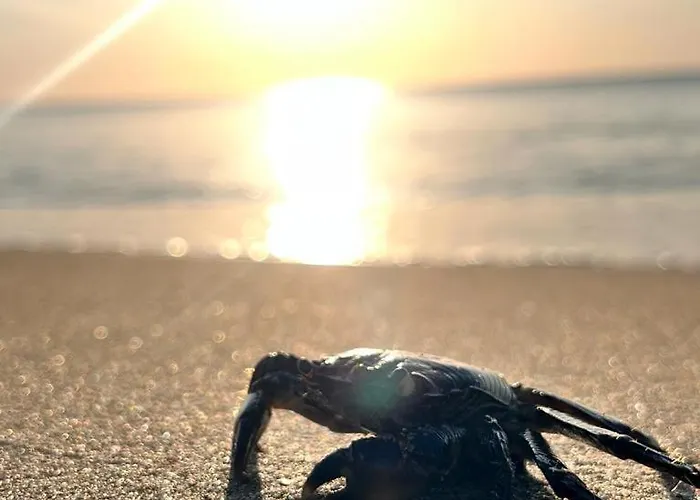 Villaggio Mondial Holiday park